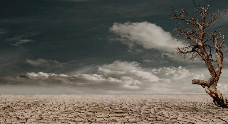 Integration of climate-related risks in BSIB’s Risk Management