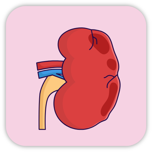 Chronic Kidney Disease (CKD)
