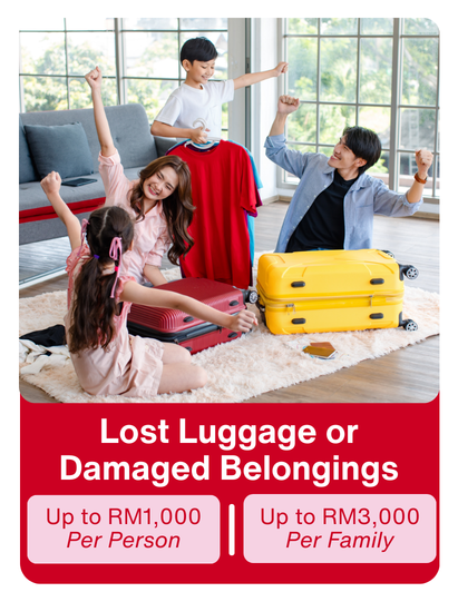 Lost Luggage