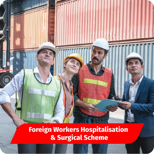 Foreign Workers Hospitalisation & Surgical Scheme