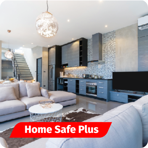 Home Safe Plus