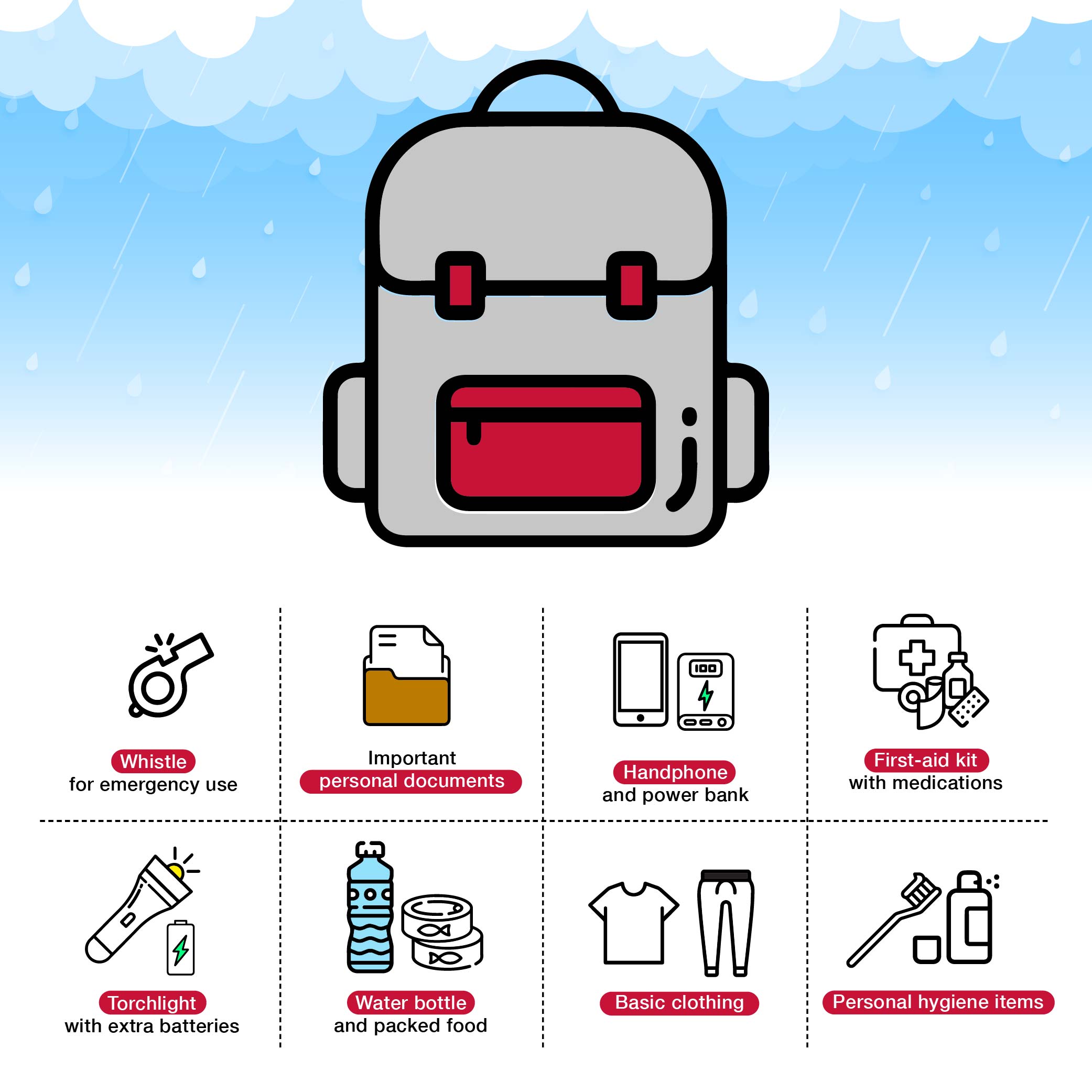 Flood Survival Kit