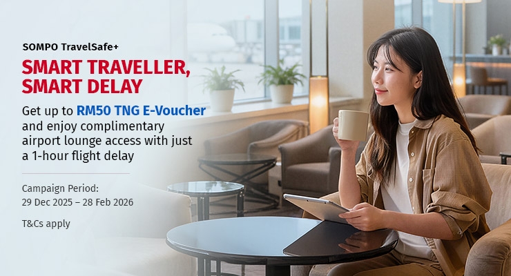 Smart Travellers, Smart Delay